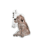 犬のせんぱい ボーダーテリア 2（個別スタンプ：4）