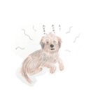犬のせんぱい ボーダーテリア 2（個別スタンプ：6）
