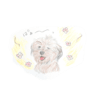 犬のせんぱい ボーダーテリア 2（個別スタンプ：7）