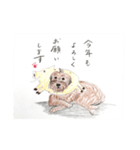 犬のせんぱい ボーダーテリア 2（個別スタンプ：12）
