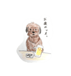 犬のせんぱい ボーダーテリア 2（個別スタンプ：14）