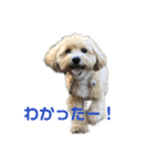 tononon（個別スタンプ：4）