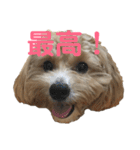 tononon（個別スタンプ：8）