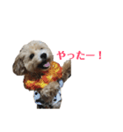 tononon（個別スタンプ：16）