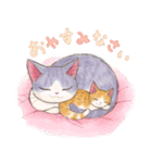 晴れるやCats（個別スタンプ：5）