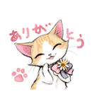 晴れるやCats（個別スタンプ：12）