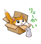 晴れるやCats（個別スタンプ：16）