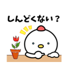 ピピ 17（個別スタンプ：9）