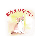 永田萠 猫・ネコ・ねこのスタンプ（個別スタンプ：6）