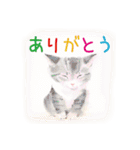 永田萠 猫・ネコ・ねこのスタンプ（個別スタンプ：8）