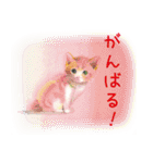 永田萠 猫・ネコ・ねこのスタンプ（個別スタンプ：21）