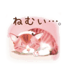 永田萠 猫・ネコ・ねこのスタンプ（個別スタンプ：35）