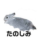 うさぎのフグちゃん②（個別スタンプ：4）
