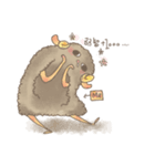 2匹の小さい動物―日常のインタラクティブ（個別スタンプ：30）