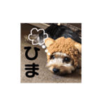 ゆずのスタンプです（個別スタンプ：1）