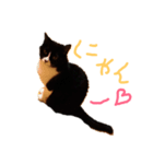 はちわれ猫ちゃん（個別スタンプ：3）