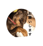 スタンプ オブ ベル（個別スタンプ：3）