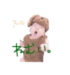 おとちん(♡)（個別スタンプ：8）