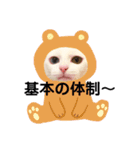 生意気Kuuちゃま♡（個別スタンプ：8）