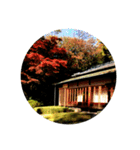日本の紅葉（個別スタンプ：2）