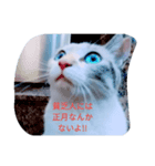 ohe！p-stanp5（個別スタンプ：1）