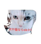 ohe！p-stanp5（個別スタンプ：2）