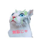 ohe！p-stanp5（個別スタンプ：3）