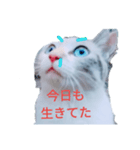ohe！p-stanp5（個別スタンプ：4）