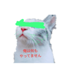 ohe！p-stanp5（個別スタンプ：6）