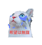 ohe！p-stanp5（個別スタンプ：8）