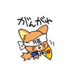 ソマリ猫♡そまりん（個別スタンプ：14）