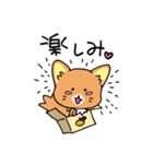 ソマリ猫♡そまりん（個別スタンプ：17）
