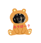 くうたんシリーズ（個別スタンプ：1）