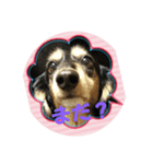 くうたんシリーズ（個別スタンプ：5）
