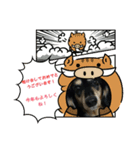 くうたんシリーズ（個別スタンプ：6）