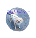 もこスタンプ2（個別スタンプ：3）
