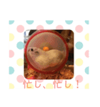 月美ちゃん（個別スタンプ：2）