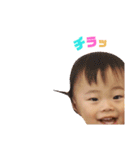 きなさんスタンプ2（個別スタンプ：16）