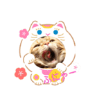 とるてさん2（個別スタンプ：7）