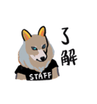 どうぶつのスタッフ（個別スタンプ：7）