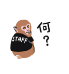 どうぶつのスタッフ（個別スタンプ：10）