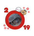 森林  木の子（個別スタンプ：5）