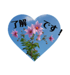 森林  木の子（個別スタンプ：7）