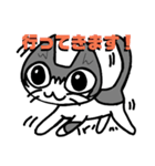 ネコつき（個別スタンプ：14）