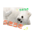 ゆりししまるくん（個別スタンプ：20）