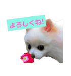 ゆりししまるくん（個別スタンプ：32）