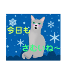 ロシにゃん 冬ver.（個別スタンプ：1）