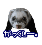 コロコロまるたん♪（個別スタンプ：26）
