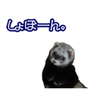 コロコロまるたん♪（個別スタンプ：32）