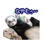 コロコロまるたん♪（個別スタンプ：36）